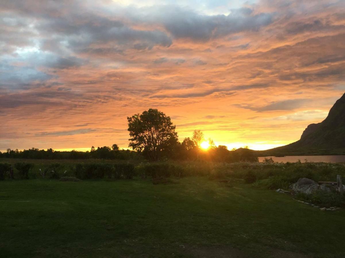 Elstad Farm Lofoten Bostad Exteriör bild